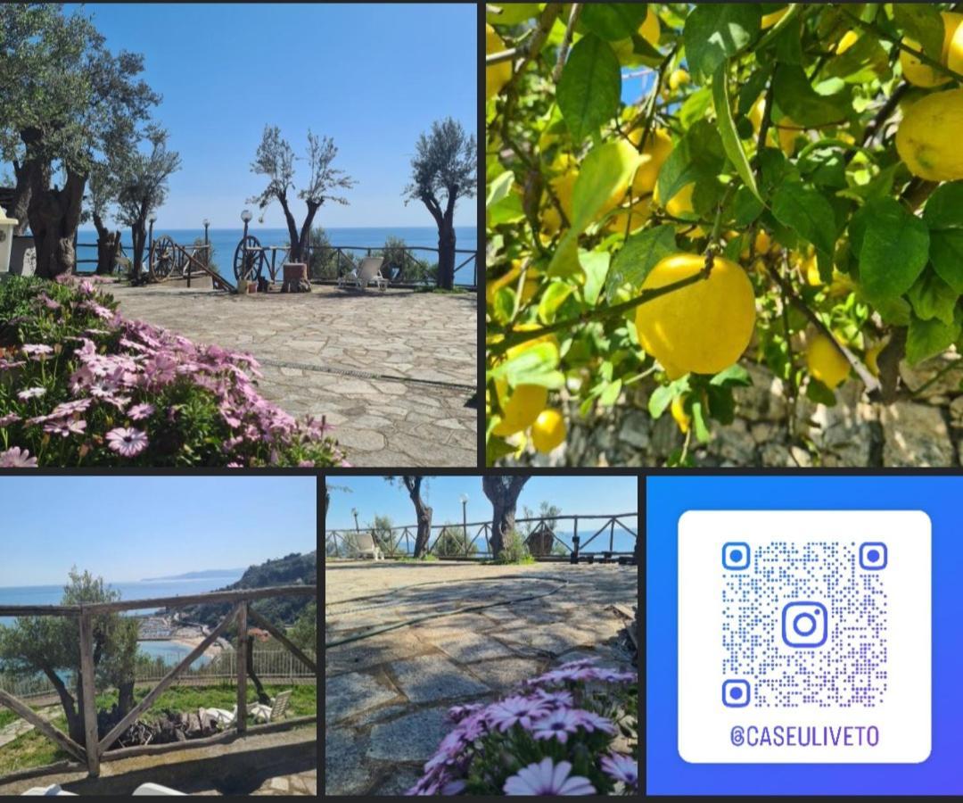 Vakantiehuis Casa Oleandro *