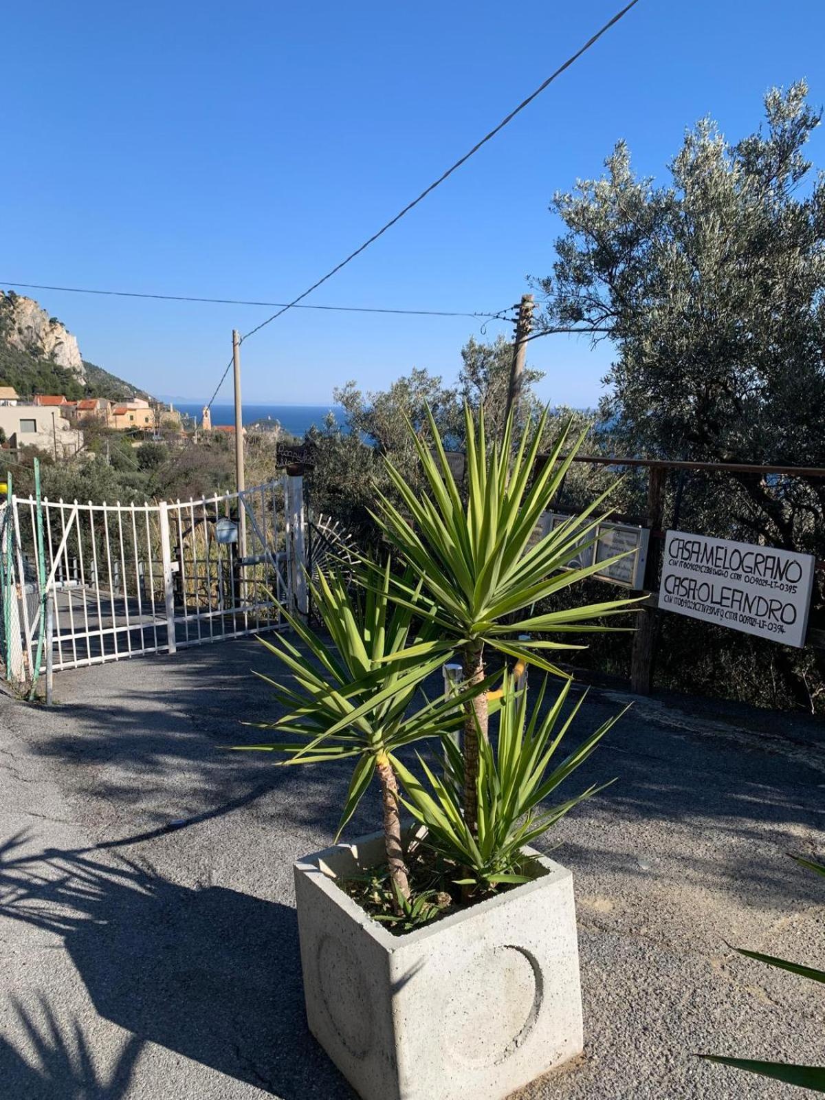 Casa Oleandro *